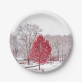 Wintertaufe 89 pappteller (Vorderseite)