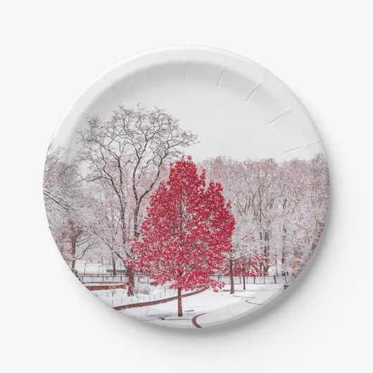 Wintertaufe 89 pappteller (Vorderseite)