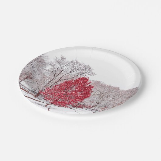 Wintertaufe 89 pappteller (Schrägansicht)