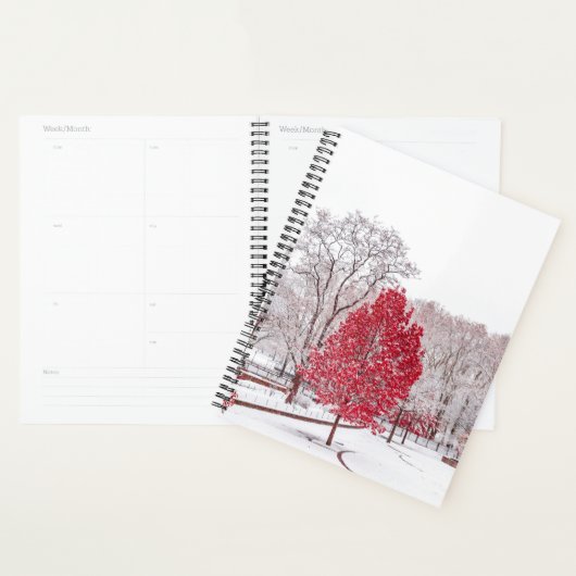 Wintertaufe 89 planer (Anzeige)