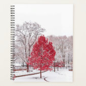 Wintertaufe 89 planer (Vorderseite)