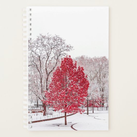 Wintertaufe 89 planer (Vorderseite)