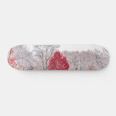 Wintertaufe 89 skateboard (Horizontal)