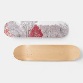 Wintertaufe 89 skateboard (Horizontal)