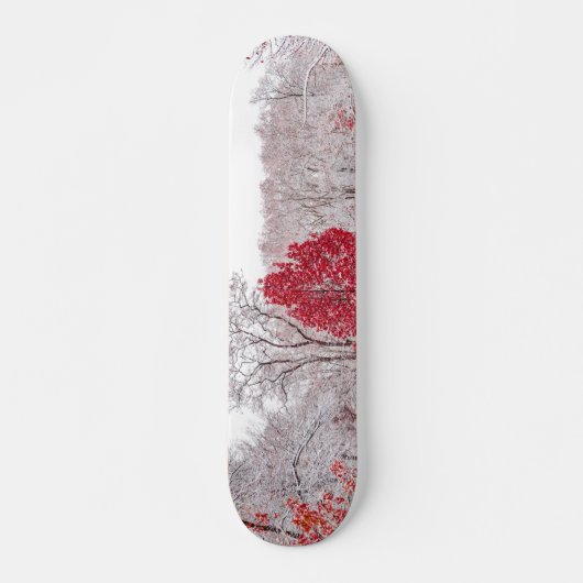 Wintertaufe 89 skateboard (Vorne)
