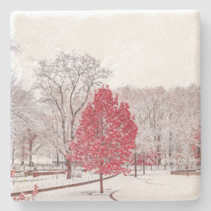 Wintertaufe 89 steinuntersetzer