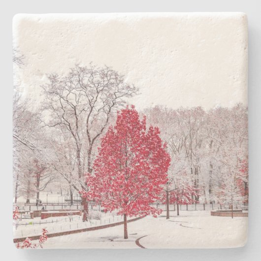 Wintertaufe 89 steinuntersetzer (Vorderseite)