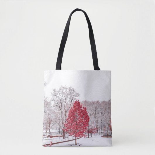 Wintertaufe 89 tasche (Vorderseite)