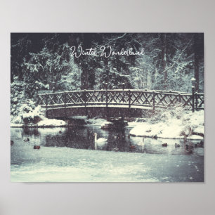 Winterteich Poster