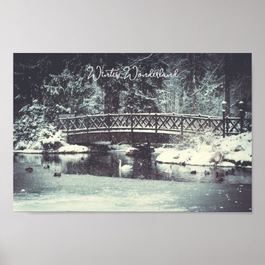 Winterteich Poster (Vorne)