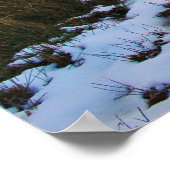 Winterteich Poster (Ecke)