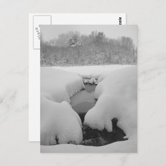 Winterteich Postkarte (Vorne/Hinten)