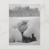 Winterteich Postkarte (Vorderseite)