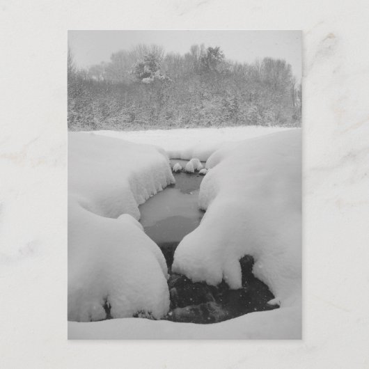 Winterteich Postkarte (Vorderseite)