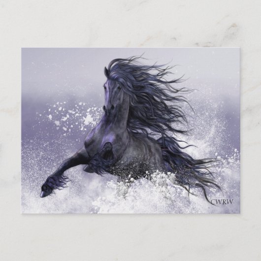 Winterthunder Postkarte (Vorderseite)