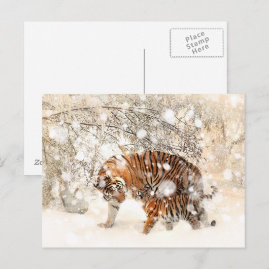 Wintertiger Postkarte (Vorne/Hinten)