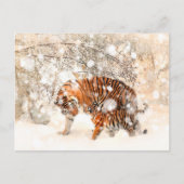 Wintertiger Postkarte (Vorderseite)