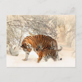 Wintertiger-Postkarte Postkarte