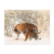 Wintertiger-Postkarte