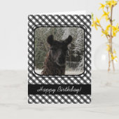 Wintertime Llama and Black Gingham Karte (Gelbe Blume)
