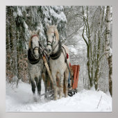 Wintertime Sleigh Ride Poster (Vorne)