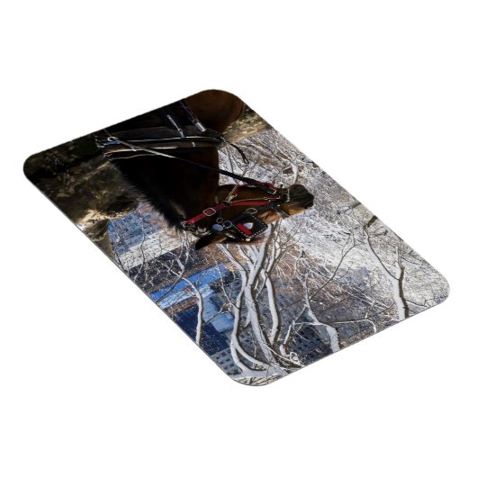 Wintertransporter Magnet (Rechte Seite)