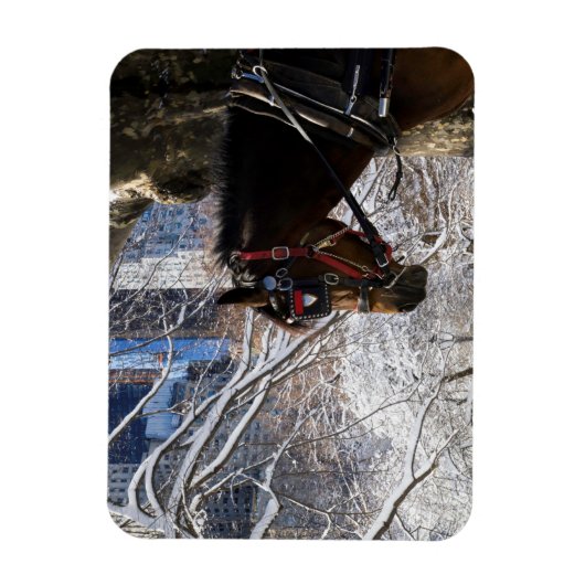 Wintertransporter Magnet (Vertikal)