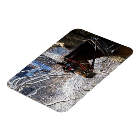 Wintertransporter Magnet (Linke Seite)