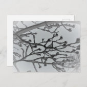 Wintertraum Postkarte (Vorne/Hinten)