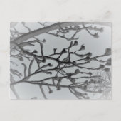 Wintertraum Postkarte (Vorderseite)