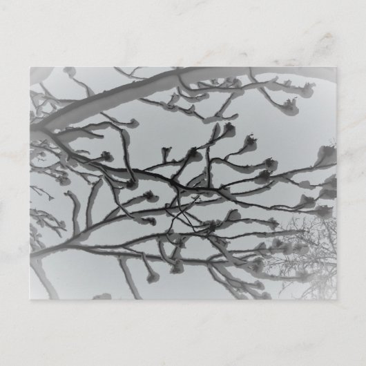 Wintertraum Postkarte (Vorderseite)