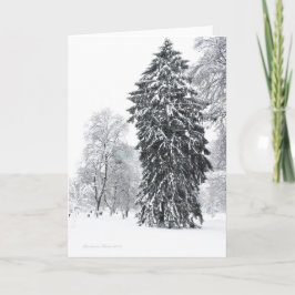 Winterurlaub im Boston Public Garden Park Feiertagskarte