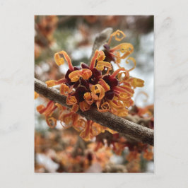 Winterurlaub Postkarte