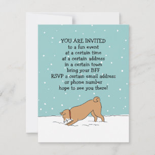 Winterurlaub Shiba Inu Party Ankündigung