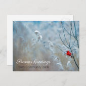 Winterurlaub Weihnachten Kardinal Postkarte (Vorne/Hinten)