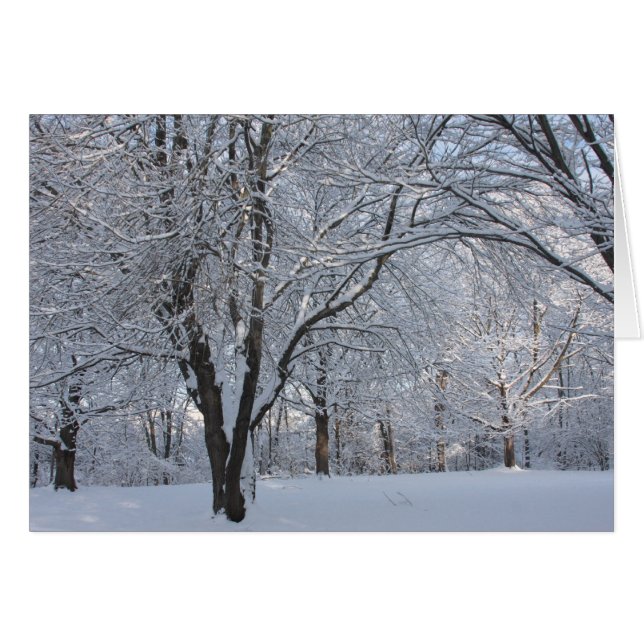 Winterverkleidung (Vorderseite (Horizontal))