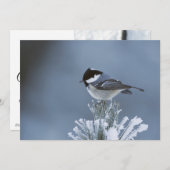 Wintervogel auf Mattierter Kiefernabzweigung Feiertagskarte (Vorne/Hinten)