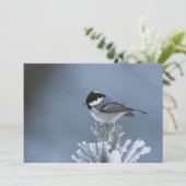 Wintervogel auf Mattierter Kiefernabzweigung Feiertagskarte (Stehend Vorderseite)