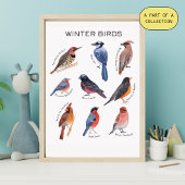 Wintervögel Bildungsplakat Poster