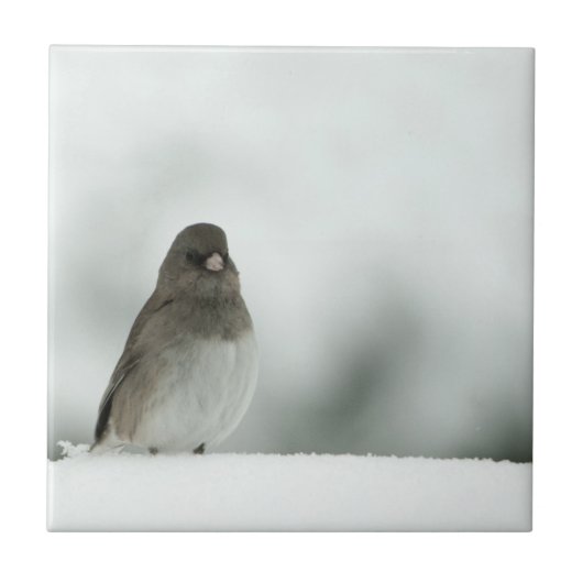 Wintervogel Fliese (Vorderseite)