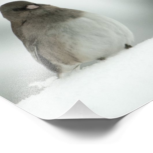 Wintervogel Fotodruck (Ecke)