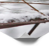 Wintervogel im Schnee Poster (Ecke)