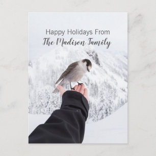 Wintervogel in der Schnee Weihnachtskarte Feiertagspostkarte