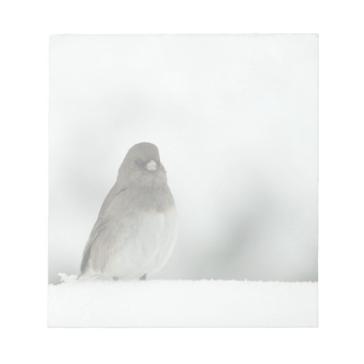 Wintervogel Notizblock (Vorderseite)