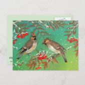 Wintervögel Postkarte (Vorne/Hinten)
