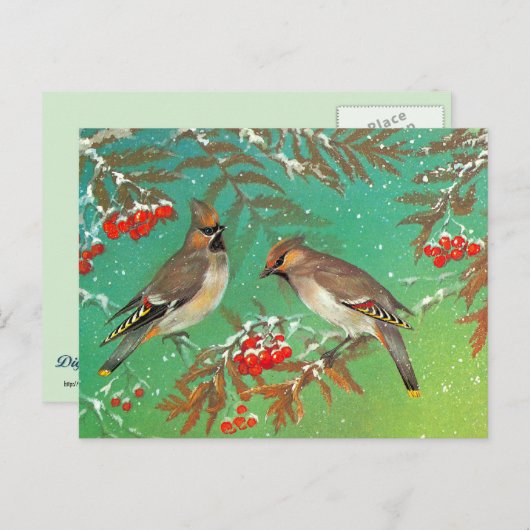 Wintervögel Postkarte (Vorne/Hinten)