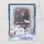 Wintervögel Postkarte (Vorderseite)