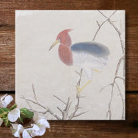 Wintervogel