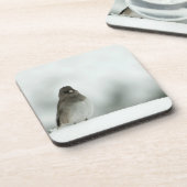 Wintervogel Untersetzer (Linke Seite)