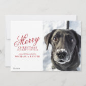 Wintervögel - warme Wünsche Feiertagskarte (Rückseite)